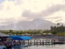 Sea World (37).webp