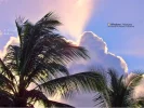 Allegro Playa Dorado (80).webp