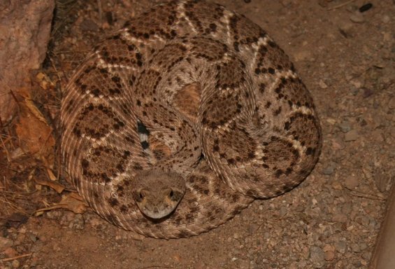 2yyttvl.webp 2yyttvl.webp