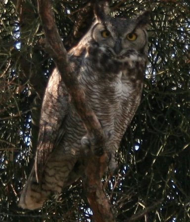 69gfvc.webp 69gfvc.webp