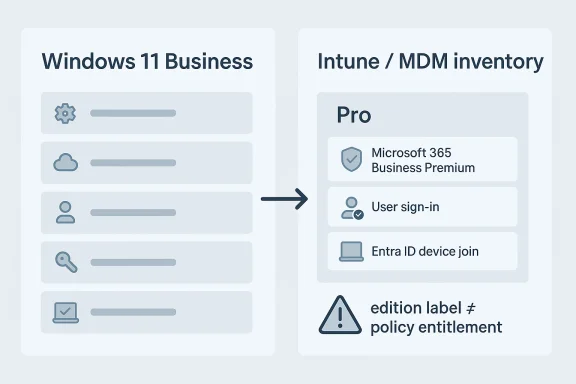 A digital visualization related to the article topic.