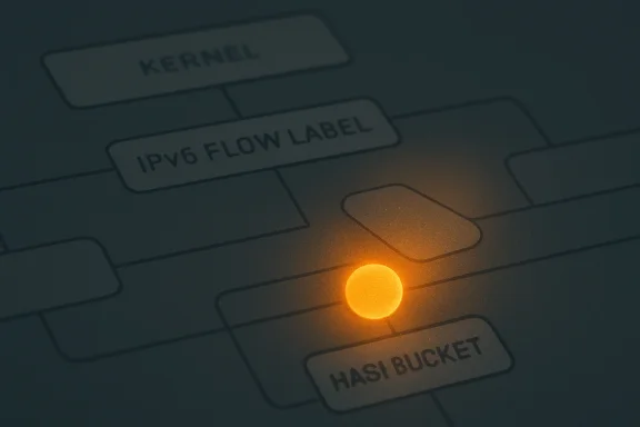 Glowing orange hotspot on a network switch diagram labeled IPv6 Flow Label and HASI BUCKET.