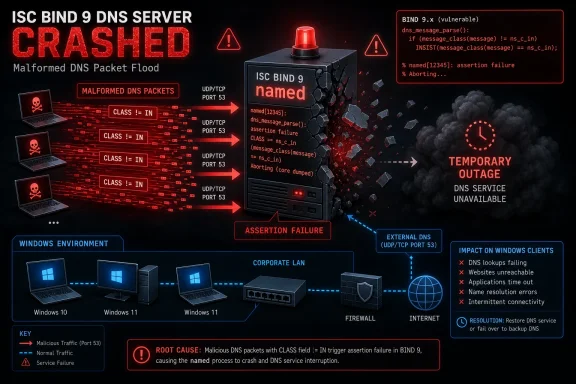 Infographic shows ISC BIND 9 DNS server crash from malformed DNS packet flood causing temporary outage.