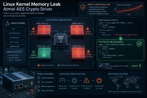 Infographic about a Linux kernel memory leak in the Atmel AES crypto driver, showing leaked pages and risk over time.