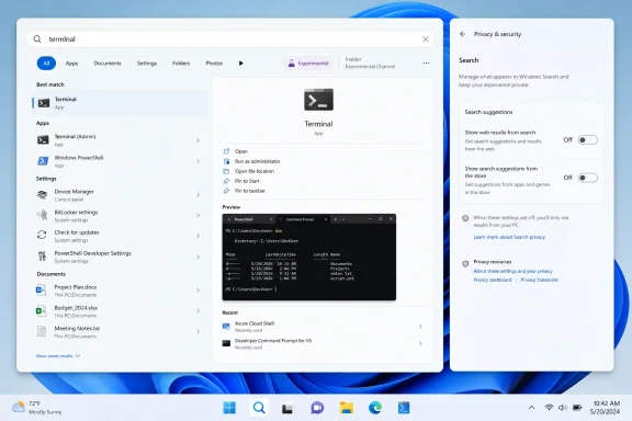 Windows 11 Search displays Terminal results beside Privacy & security search settings.