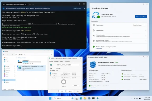 Windows 11 desktop shows successful system repairs, Windows Update status, storage details, and healthy component store.