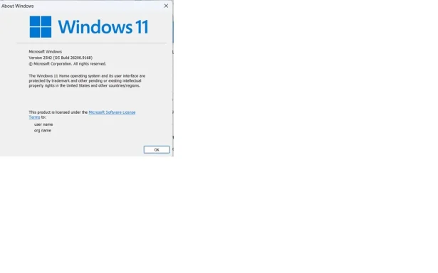 winver command returns this.webp