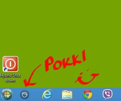 pokki2.webp
