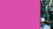 snapr.webp
