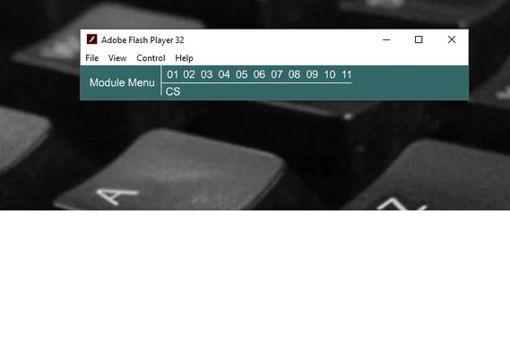 flash player ccna.webp