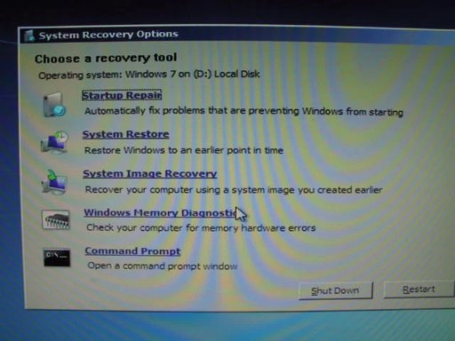 Recovery Options.webp