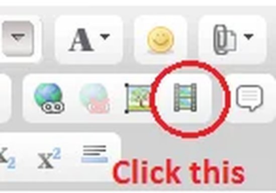 video insert.webp