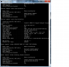 ipconfig screenshot 2.png