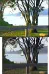 demo.webp