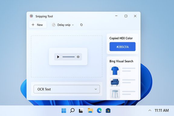 Windows 11 Snipping Tool UI with snip area, color swatch, and Bing Visual Search panel.