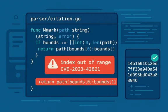 Go code snippet from parser/citation.go showing an index-out-of-range error (CVE-2023-42821).