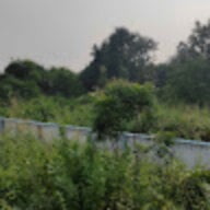 gautamrajpurohit