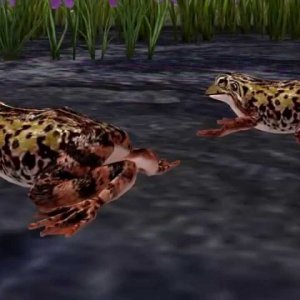 Five Green Speckled Frogs | Children Educational Videos