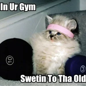 is-in-ur-gym-swe&#11.jpg