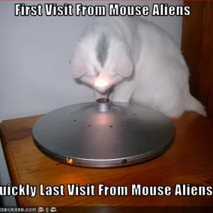 funny-pictures-cat-is-visited-by-aliens.jpg