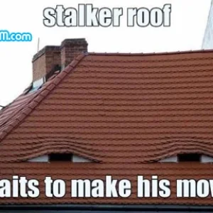 pyzamstalkerroof.jpg