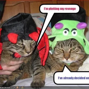 funny-pictures-your-cats-plan-to-take-revenge.jpg