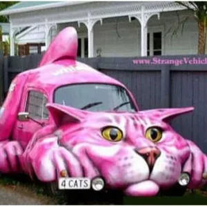 Cat Mobile.JPG