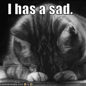 funny-pictures-sad-cat-blackandwhite.jpg