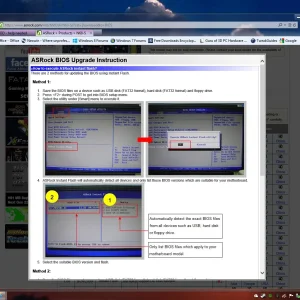 bios2.webp