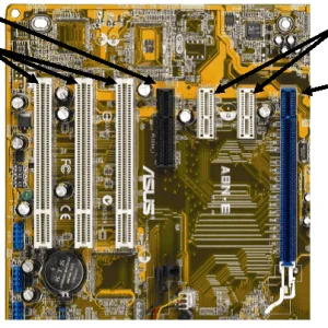 figure4_pci.gif