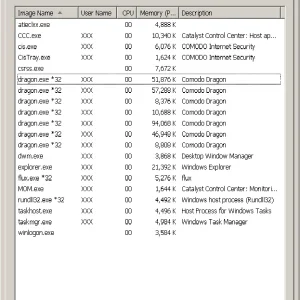 process1.webp