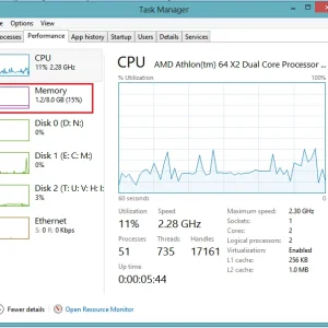 Win8MemoryUsage.webp