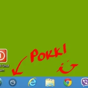 pokki2.webp