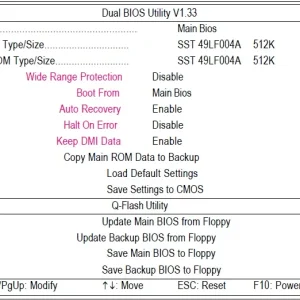 Example of BIOS.webp