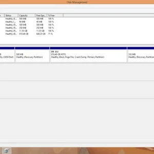 disk management screen shot 4-5-14.webp