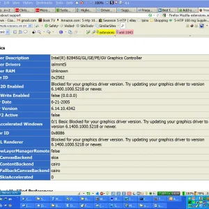 on Firefox Troubleshooting Information.webp