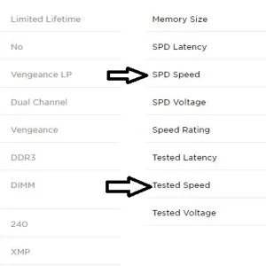 memory.webp