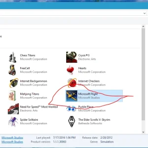MSFlightinW10Prox64.webp