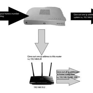 network.webp