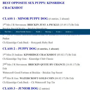 Screenshot-2018-4-12 NTC Club Show Results 2017 The Norfolk Terrier Club of Great Britain.webp