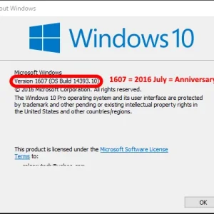 check-windows-build-winver-windows-10-anniversary.webp