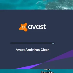 Avast Clear 1n half hours.webp