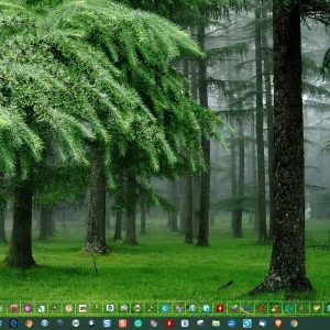 Desktop 2.webp