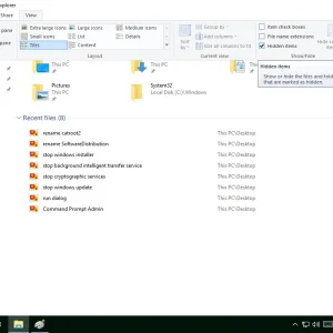 file explorer show hidden items.webp