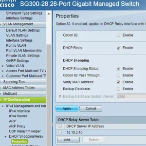 dhcp relay config1.webp