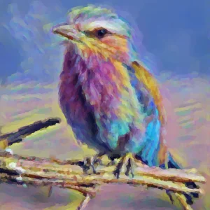 Bird Lillac Breasted Roller.jpg