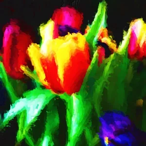 Tulip Vibrancy.jpg