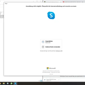 1.2.Skype_Error.webp