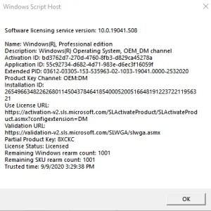 Windows Script Host Report.webp