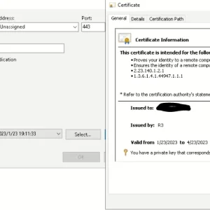 IIS binding.webp